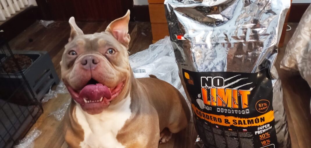 Pienso natural pienso industrial cual es mejor