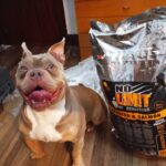 Pienso natural pienso industrial cual es mejor