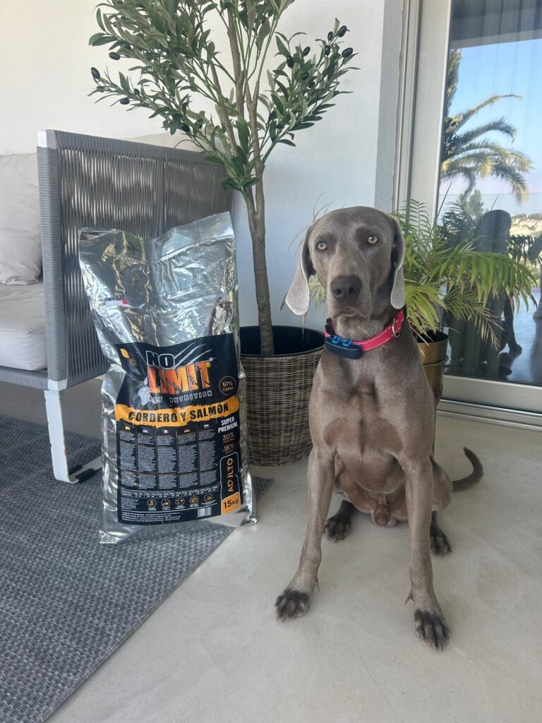 Por qué elegir pienso natural tus mascotas