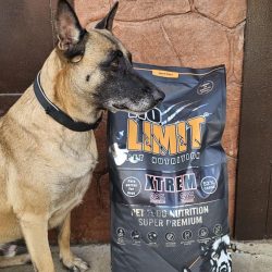 0345d250-7190-4252-a029-0d0a6592d820