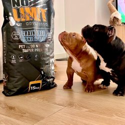 0465009e-f4a6-43fd-b361-b1062dcda0ad