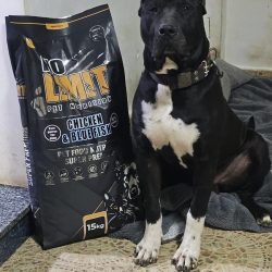 256d53b7-84dc-422a-b78d-694d2c5265d6