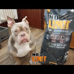 26e11947-23b7-4069-b233-dda33d8c1f6b