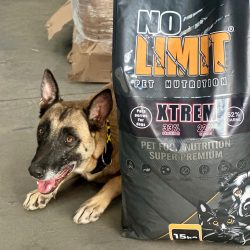 46990b18-fcf6-4116-bcc1-2aaceacc448e