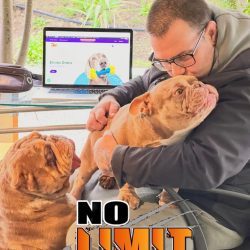 92208d09-71c0-46a6-90a1-c142474dd51e