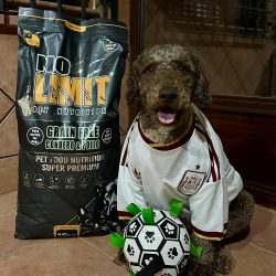 Perro con camiseta de España junto a un saco NO LIMIT Cordero y Pollo