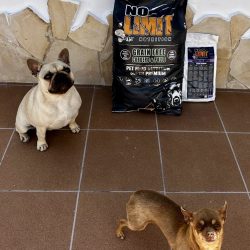 Dos perros junto a sacos NO LIMIT Cordero y Pollo y MINI ADULTO