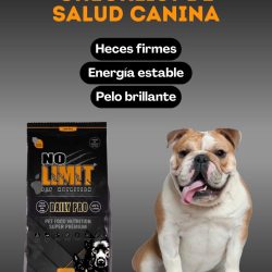 WhatsApp Image 2026-01-21 at 19.22.02