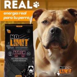 WhatsApp Image 2026-01-21 at 19.22.08 (1)