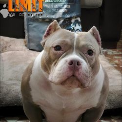 a31cf8db-575b-42cc-b2a7-f70b05e5acff