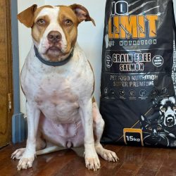 d3812993-7a13-4b47-8487-20d989b0aa34