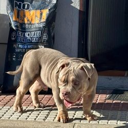 e0d97283-d427-4426-9238-ba4b19d9dc98