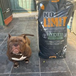 ed1c7cba-661a-4fa6-8acf-f98ddbf5362f